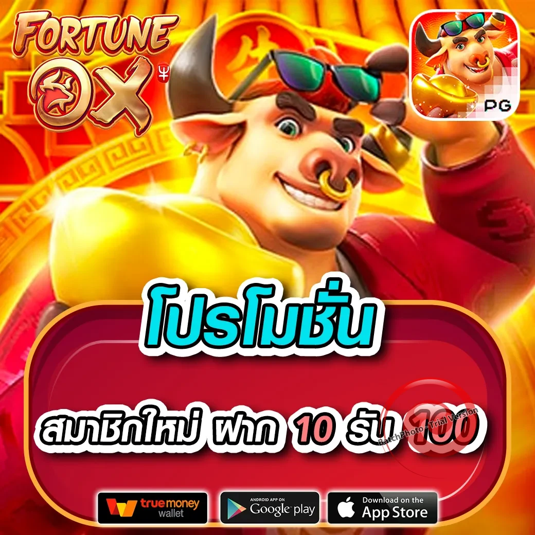 phoenix9999 ทางเข้า